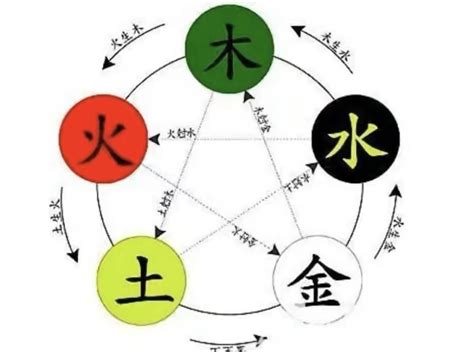 王 五行|王字五行属什么